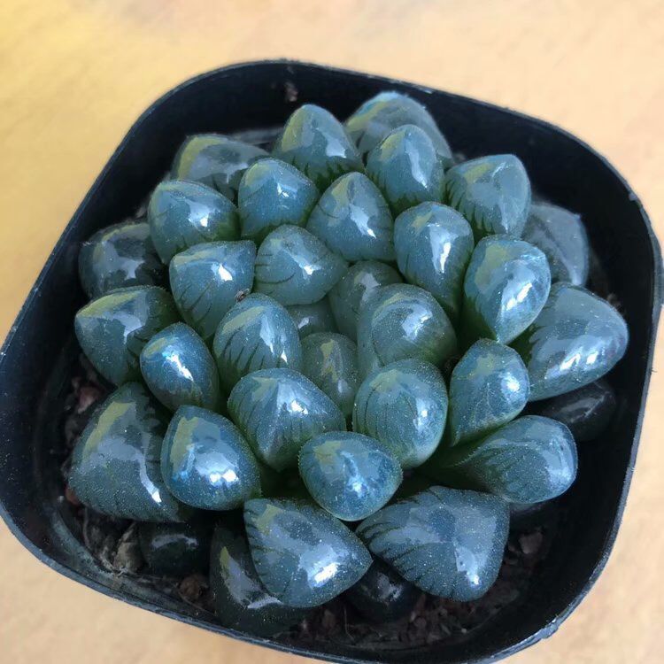 20190428002